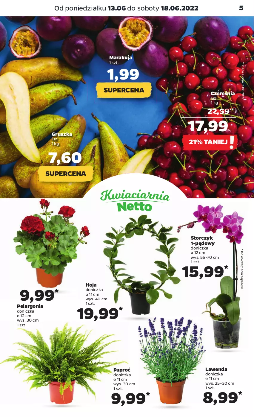 Gazetka promocyjna Netto - Gazetka spożywcza - ważna 13.06 do 18.06.2022 - strona 5 - produkty: Storczyk