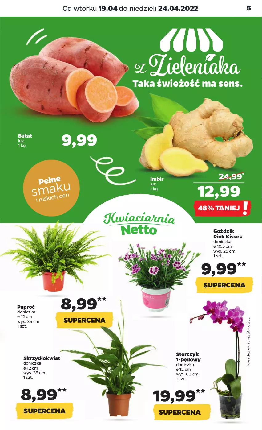 Gazetka promocyjna Netto - Gazetka spożywcza - ważna 19.04 do 24.04.2022 - strona 5 - produkty: Imbir, Storczyk