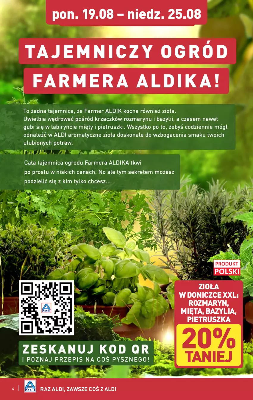 Gazetka promocyjna Aldi - Farmer ALDIK poleca świeże owoce i warzywa - ważna 19.08 do 25.08.2024 - strona 4 - produkty: Bazyl, Bazylia, Fa, Mięta, Pietruszka, Zioła w doniczce