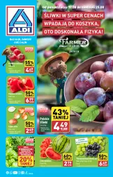 Gazetka promocyjna Aldi - Farmer ALDIK poleca świeże owoce i warzywa - Gazetka - ważna od 25.08 do 25.08.2024 - strona 1 - produkty: Cebula, Pietruszka, Papryka czerwona, Zioła w doniczce, Papryka, Kosz, Winogrona, Winogrona bezpestkowe, Bazyl, Bazylia, Arbuz, Wino, Pomidory, Mięta