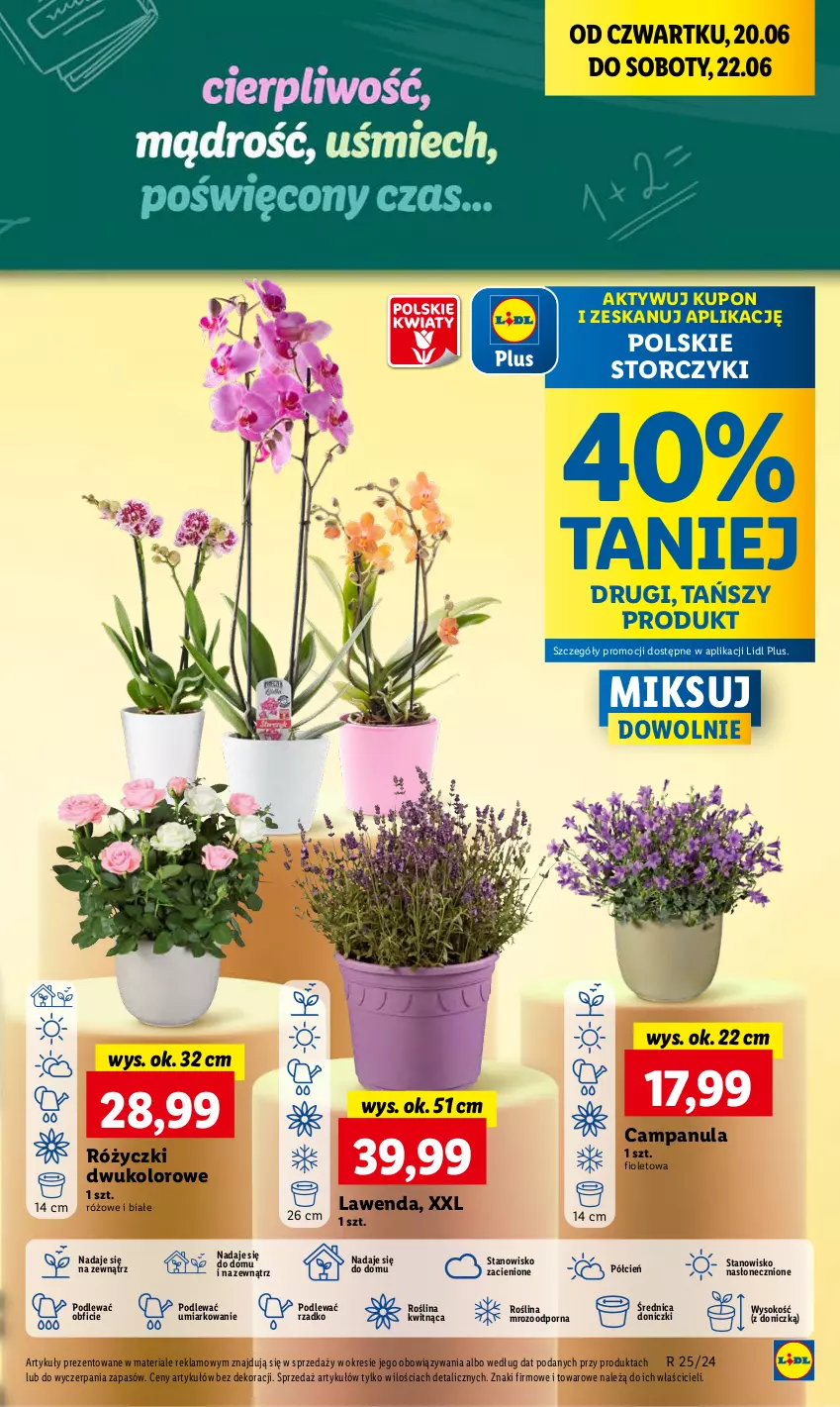 Gazetka promocyjna Lidl - GAZETKA - ważna 20.06 do 22.06.2024 - strona 53 - produkty: Campanula, Cień, O nas, Por, Sok, Storczyk