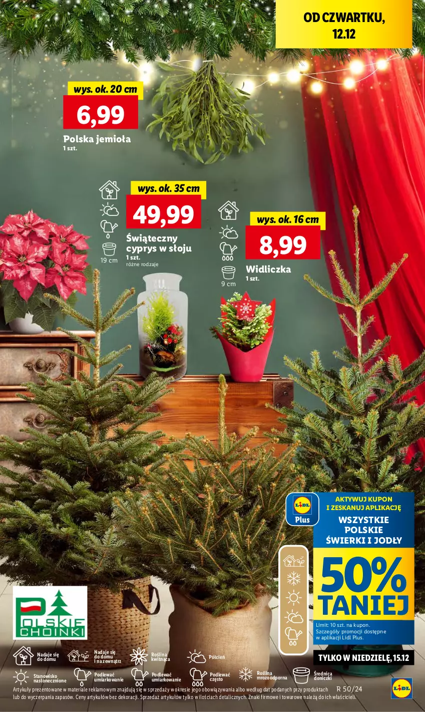 Gazetka promocyjna Lidl - GAZETKA - ważna 12.12 do 15.12.2024 - strona 53 - produkty: Cień, O nas, Por