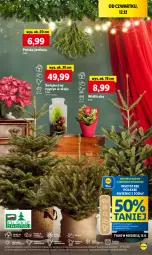 Gazetka promocyjna Lidl - GAZETKA - Gazetka - ważna od 15.12 do 15.12.2024 - strona 53 - produkty: Por, Cień, O nas