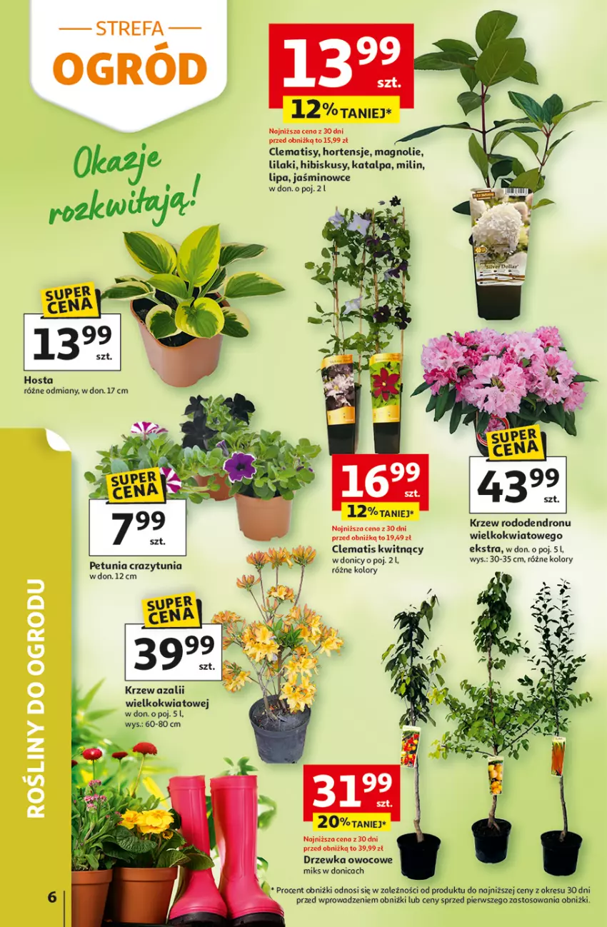 Gazetka promocyjna Auchan - Gazetka 30 Lat Hipermarket Auchan - ważna 29.04 do 06.05.2026 - strona 6 - produkty: Dron, Fa, Hibiskus, Ogród