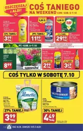 Gazetka promocyjna Aldi - Gazetka - ważna od 07.10 do 07.10.2023 - strona 24 - produkty: Piwa, Piwo, Sos, Ser, Serek, Putzmeister, Hochland, Almette