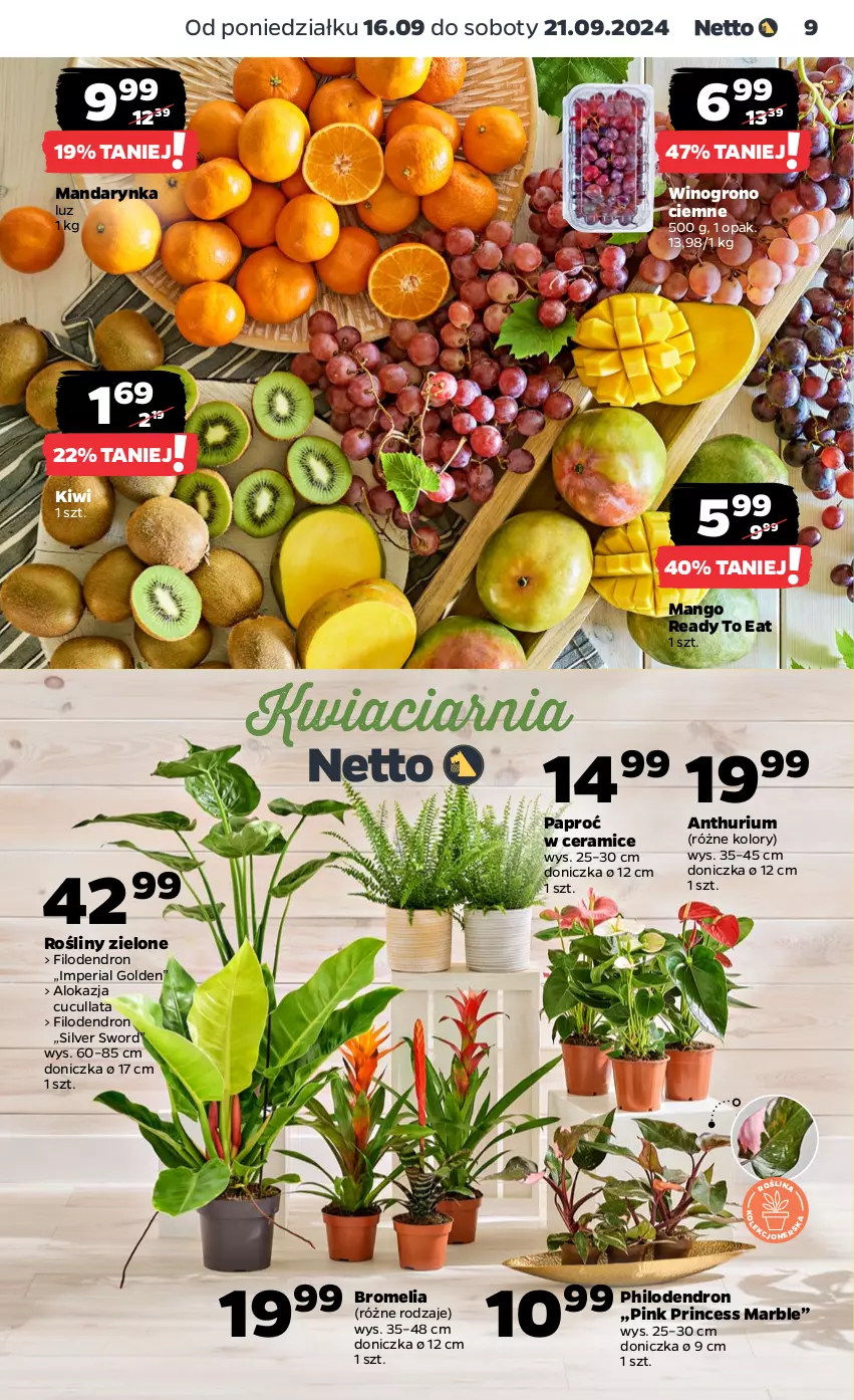 Gazetka promocyjna Netto - Artykuły spożywcze - ważna 16.09 do 21.09.2024 - strona 9 - produkty: Bromelia, Dron, Kiwi, Mango, Wino