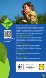 Gazetka promocyjna Lidl - GAZETKA - Gazetka - ważna od 27.08 do 27.08.2025 - strona 65 - produkty: Warzywa, Por, O nas, Wazon, Talerz, Owoce