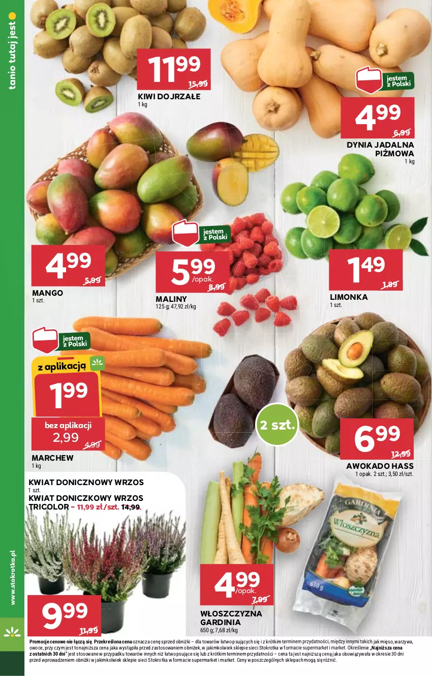 Gazetka promocyjna Stokrotka - Supermarket - ważna 29.08 do 04.09.2024 - strona 10 - produkty: Kiwi, Limonka, Maliny, Mango, Owoce, Warzywa