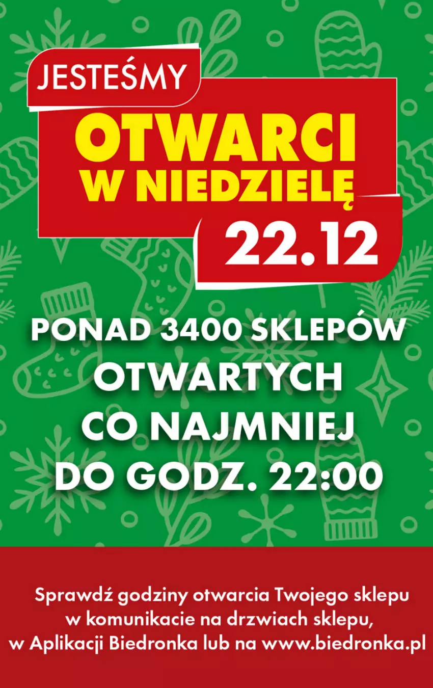 Gazetka promocyjna Biedronka - Od czwartku - ważna 19.12 do 25.12.2024 - strona 17 - produkty: Dron, Drzwi