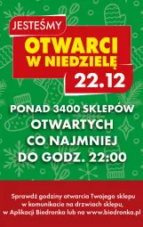 Gazetka promocyjna Biedronka - Od czwartku - Gazetka - ważna od 25.12 do 25.12.2024 - strona 17 - produkty: Dron, Drzwi