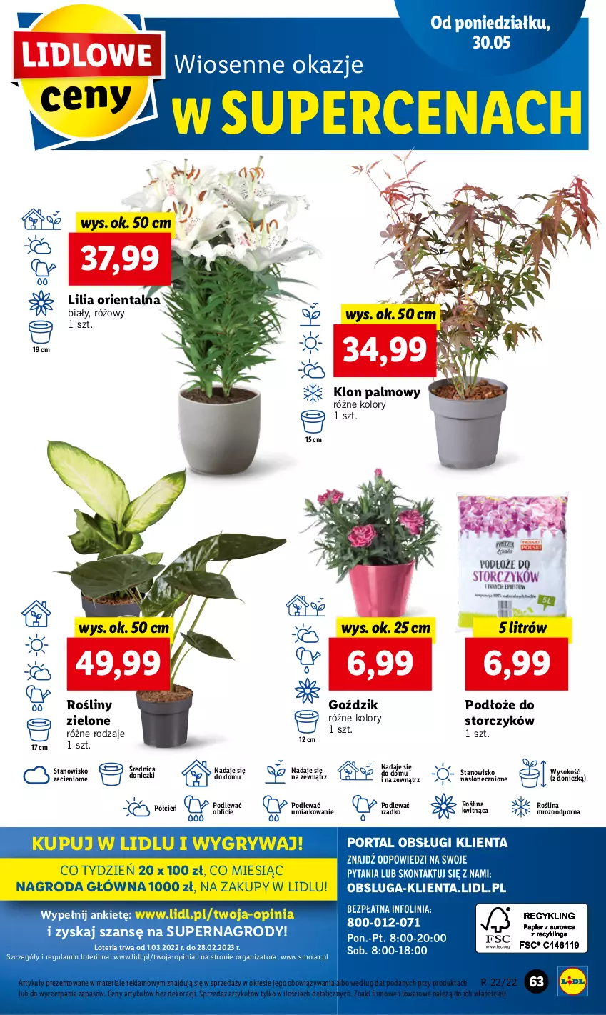 Gazetka promocyjna Lidl - GAZETKA - ważna 30.05 do 01.06.2022 - strona 63 - produkty: Cień, Gry, Mola, O nas, Por, Sok, Storczyk