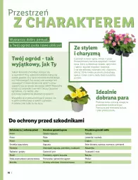 Gazetka promocyjna Lidl - KATALOG OGRÓD - Gazetka - ważna od 03.04 do 03.04.2022 - strona 16 - produkty: Chrzan, Warzywa, Por, Roszponka, Grzyby, Truskawki, Czosnek, Rukola, Ziemniaki, Sałat, Fasola, Buraki, Koper włoski, Bazyl, Aksam, Bazylia, Gres, Nawóz, Ogród, Pomidory, Groszek, Szpinak, Fa