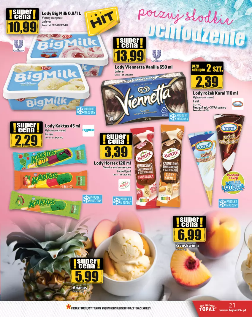 Gazetka promocyjna Topaz - Gazetka - ważna 15.08 do 21.08.2024 - strona 21 - produkty: Kaktus, Lody, Ogród, Top