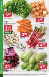 Gazetka promocyjna Stokrotka - Market - Gazetka - ważna od 28.05 do 28.05.2025 - strona 14 - produkty: Cebula, Warzywa, Por, Gra, Sałata masłowa, Czosnek, Sałat, Buraki, Owoce, Masło, Mięso