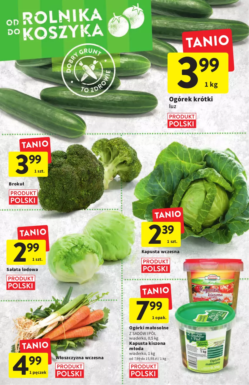 Gazetka promocyjna Intermarche - ważna 07.07 do 13.07.2022 - strona 12 - produkty: Ogórek, Sałat, Sałata lodowa