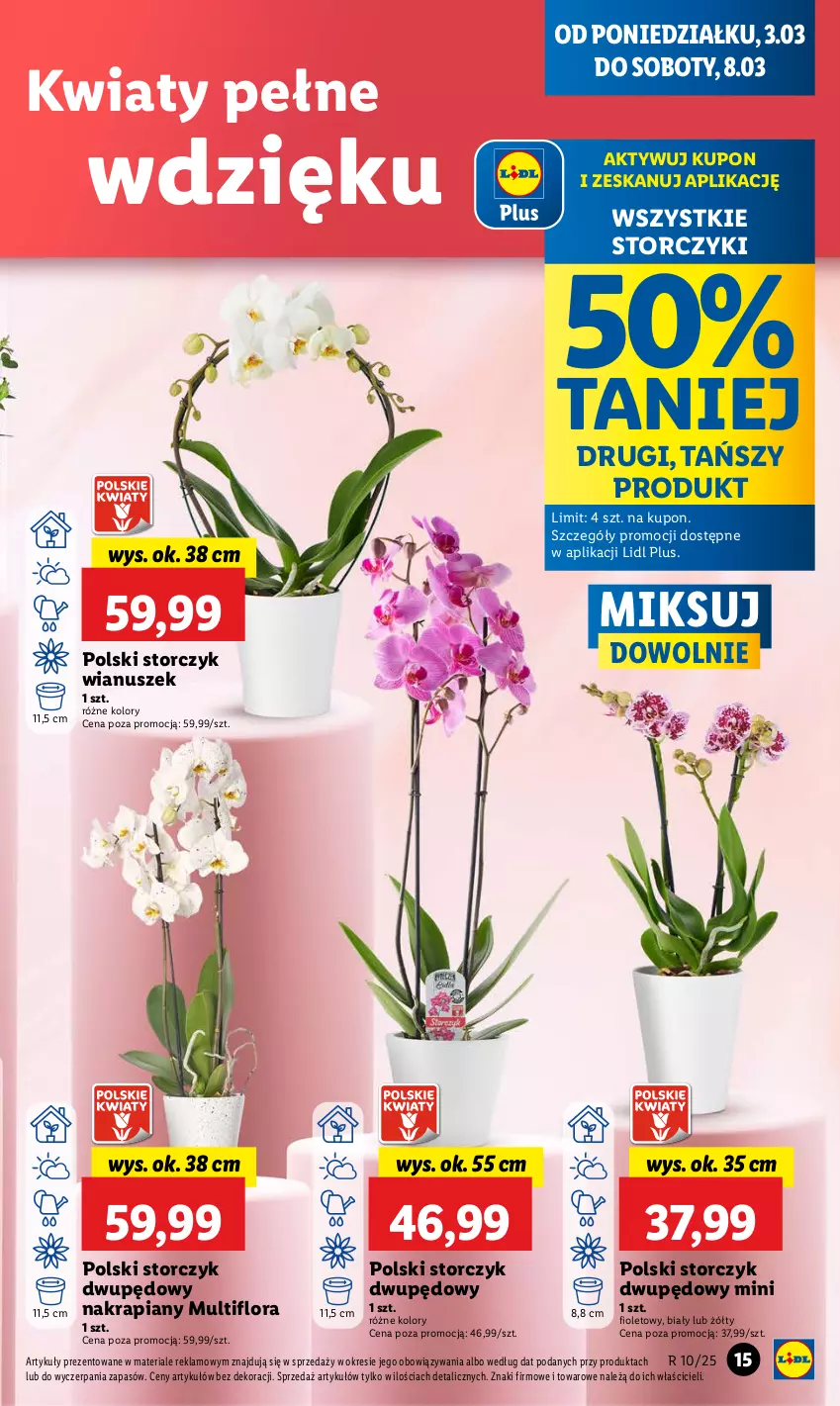 Gazetka promocyjna Lidl - GAZETKA - ważna 03.03 do 05.03.2025 - strona 19 - produkty: Flora, Storczyk