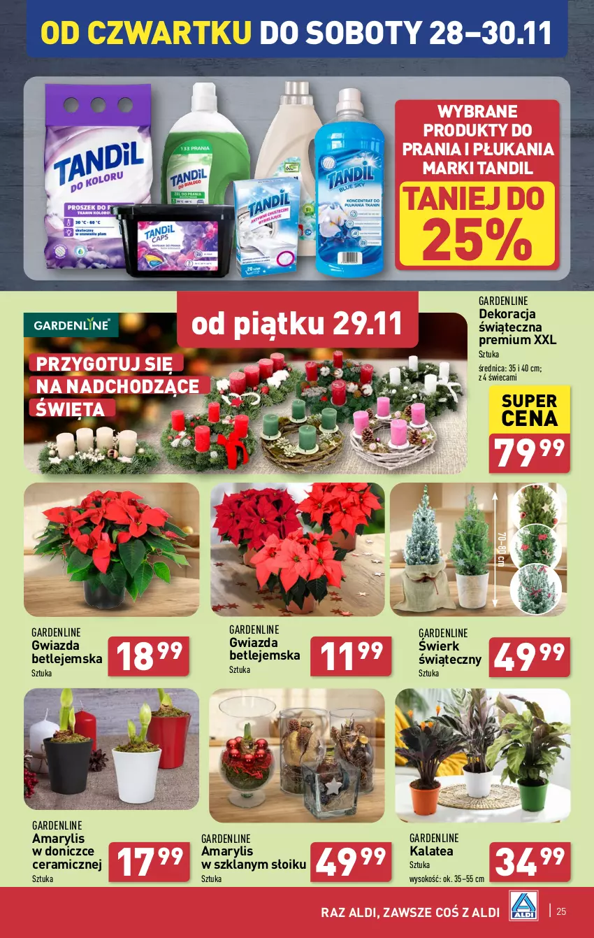 Gazetka promocyjna Aldi - Pełna oferta - ważna 25.11 do 30.11.2024 - strona 25 - produkty: Amarylis, Dekoracja świąteczna, Gwiazda, Sok