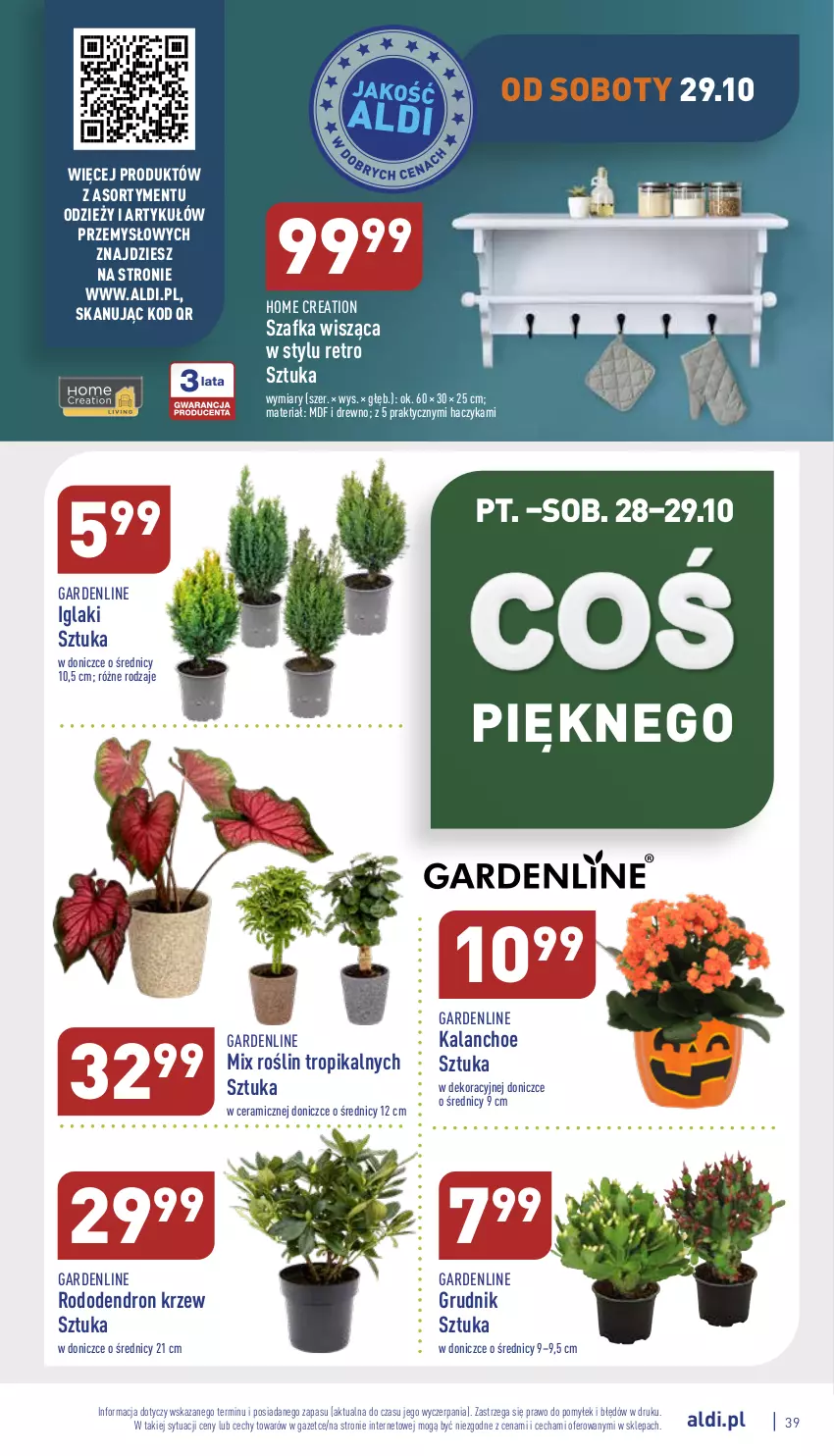 Gazetka promocyjna Aldi - Pełny katalog - ważna 24.10 do 29.10.2022 - strona 39 - produkty: Dron, Haczyk, Kalanchoe, Szafka