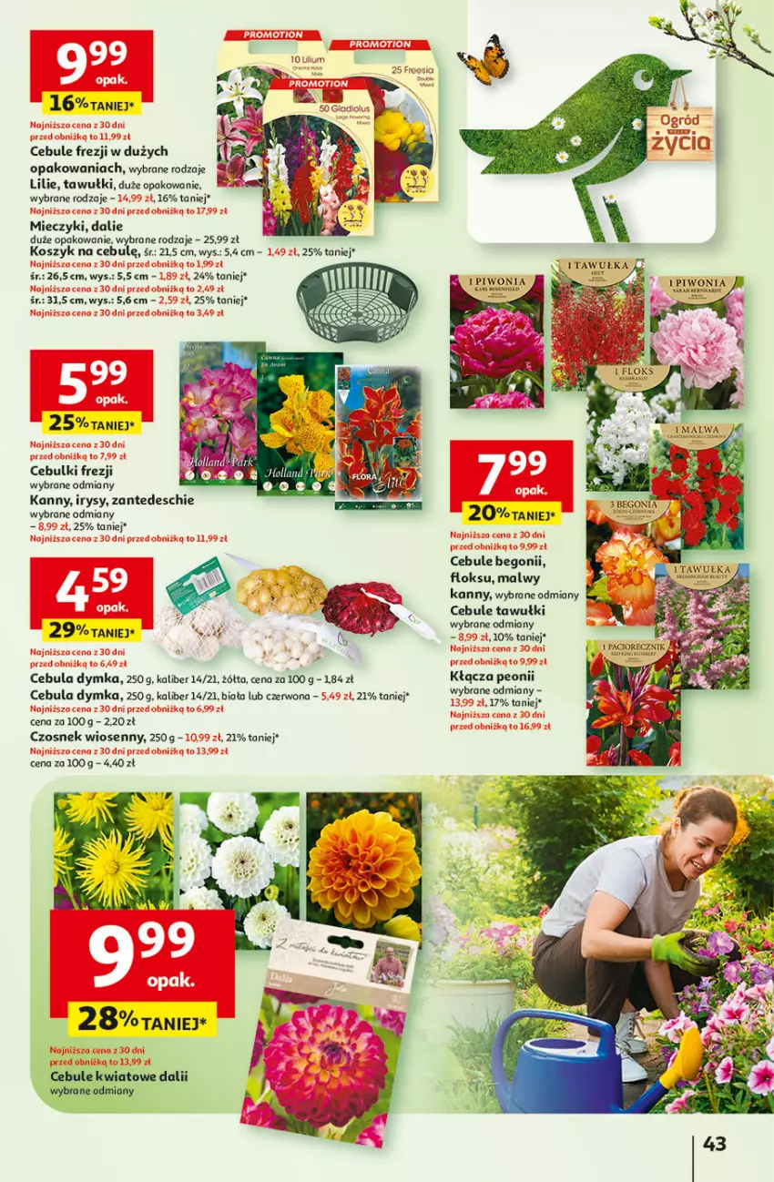 Gazetka promocyjna Auchan - Gazetka Pewność Niskich Cen Hipermarket - ważna 27.02 do 05.03.2025 - strona 51 - produkty: Cebula, Czosnek, Gra, Kosz, Miecz, Piwo