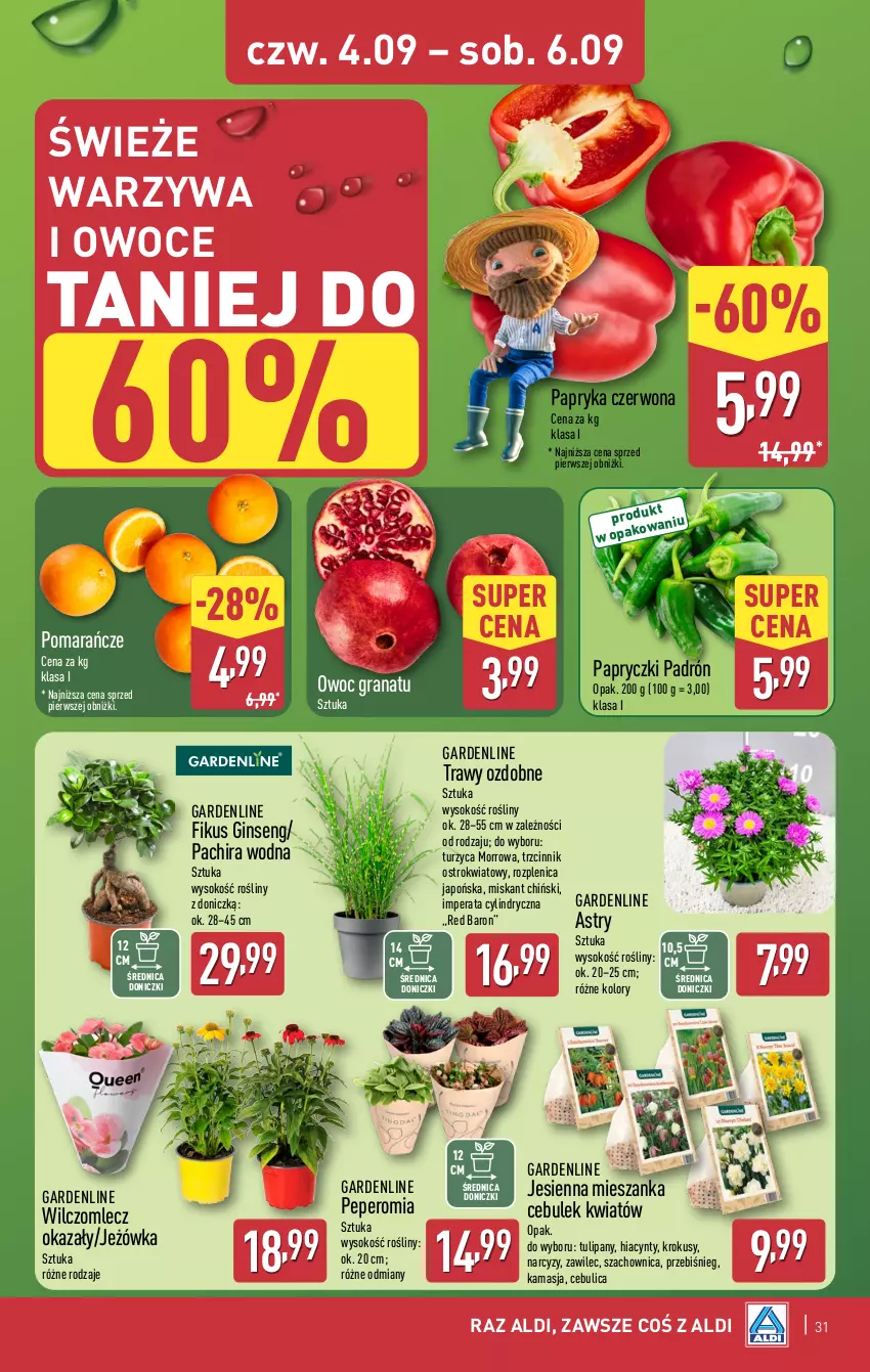 Gazetka promocyjna Aldi - Pełna oferta - ważna 01.09 do 06.09.2025 - strona 31 - produkty: Gin, Gra, Granat, Hiacynt, Krokus, Miska, Narcyz, Owoce, Papryka, Papryka czerwona, Pomarańcze, Sok, Tulipan, Warzywa, Warzywa i owoce