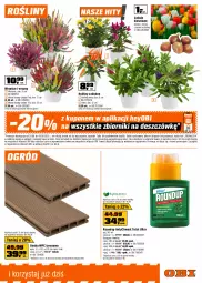 Gazetka promocyjna Obi - Gazetka OBI - Gazetka - ważna od 09.09 do 09.09.2025 - strona 11 - produkty: Tulipan, Czosnek, Narcyz, Ogród