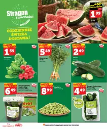 Gazetka promocyjna Topaz - Gazetka - Gazetka - ważna od 15.07 do 15.07.2026 - strona 14 - produkty: Top, Ogórek, Rzodkiewka
