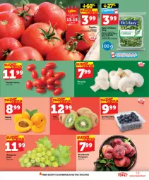 Gazetka promocyjna Topaz - Gazetka - Gazetka - ważna od 15.07 do 15.07.2026 - strona 15 - produkty: Piec, Top, Borówka, Morela, Kiwi, Pieczarka, Wino