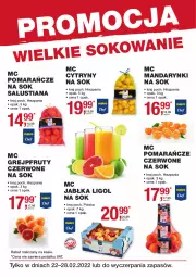 Gazetka promocyjna Makro - Wielkie Sokowanie - Gazetka - ważna od 28.02 do 28.02.2022 - strona 1 - produkty: Mandarynki, Sok, Cytryny, Pomarańcze, LUSTi, Ligol, Jabłka, Grejpfrut