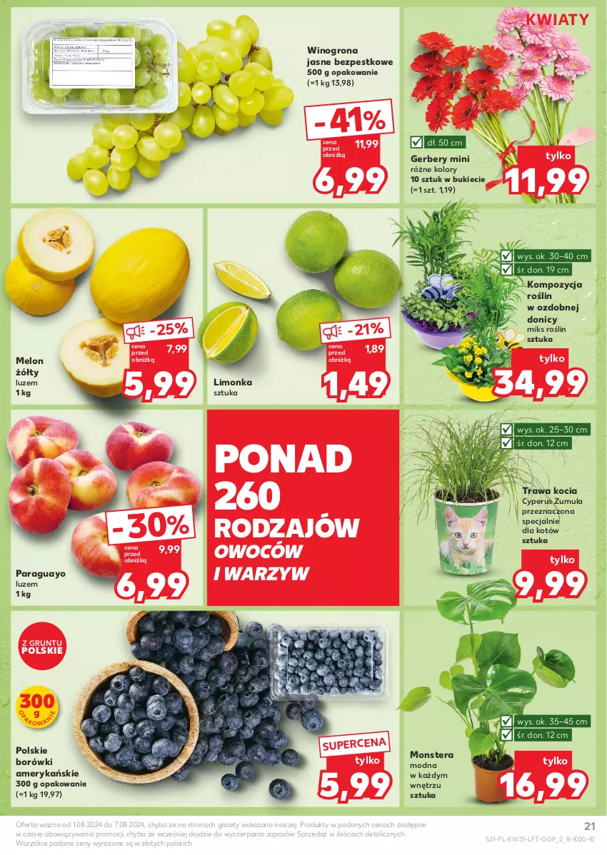 Gazetka promocyjna Kaufland - Gazetka tygodnia - ważna 01.08 do 07.08.2024 - strona 21 - produkty: Gerber, Grunt, Koc, Limonka, Melon, Tera, Wino, Winogrona