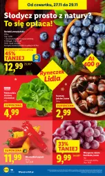 Gazetka promocyjna Lidl - GAZETKA - Gazetka - ważna od 29.11 do 29.11.2025 - strona 20 - produkty: Sałata masłowa, Sałat, Winogrona, Wino, Masło