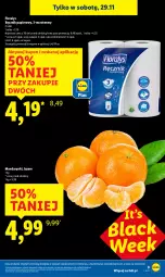 Gazetka promocyjna Lidl - GAZETKA - Gazetka - ważna od 29.11 do 29.11.2025 - strona 9 - produkty: Mandarynki, Papier, Lack, Ręcznik, Rolki, Flora