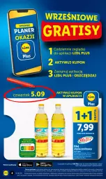 Gazetka promocyjna Lidl - GAZETKA - Gazetka - ważna od 07.09 do 07.09.2024 - strona 8 - produkty: Gra, Wazon, Olej słonecznikowy, Olej