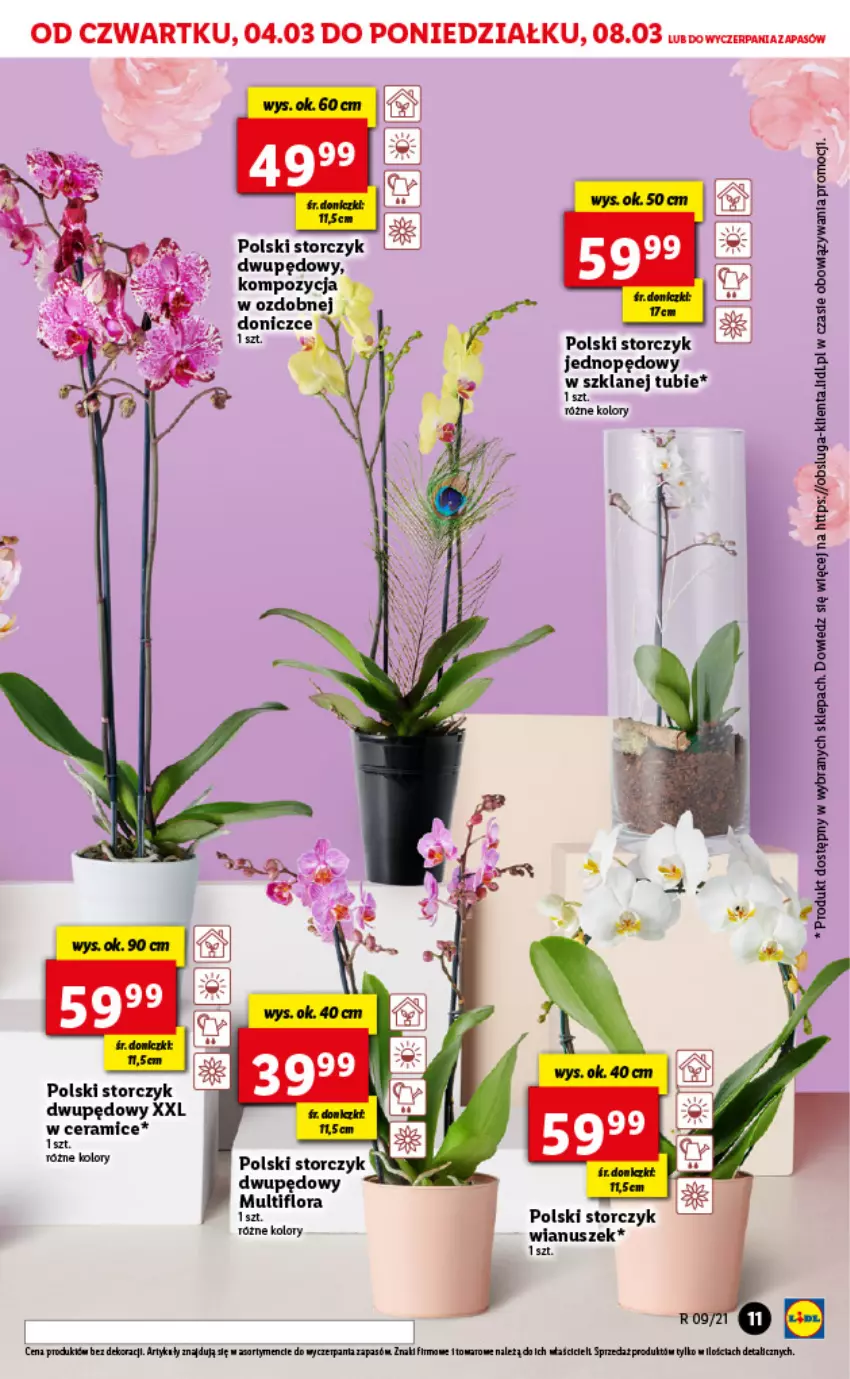 Gazetka promocyjna Lidl - GAZETKA - ważna 04.03 do 06.03.2021 - strona 11 - produkty: Flora, Storczyk