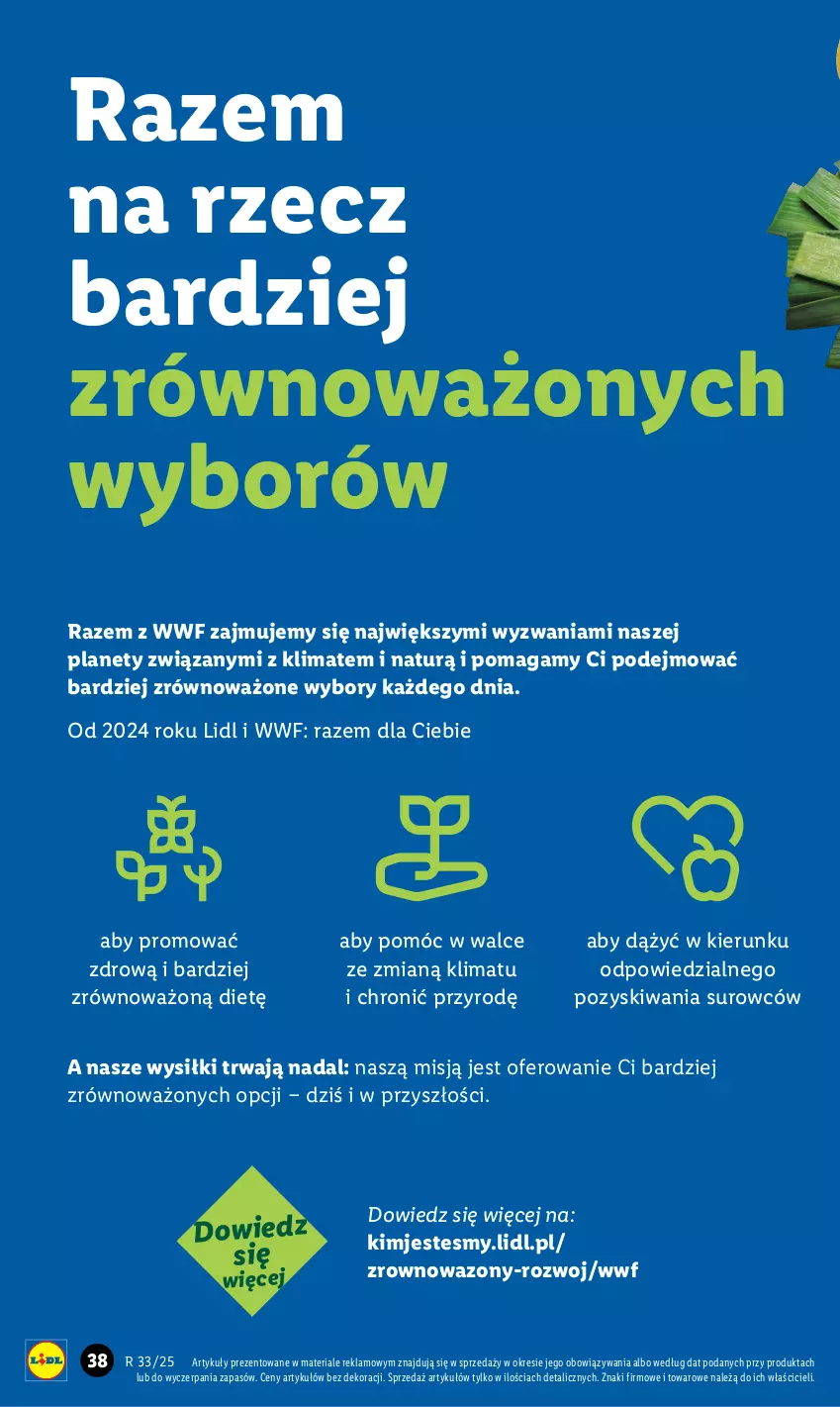 Gazetka promocyjna Lidl - GAZETKA - ważna 11.08 do 16.08.2025 - strona 42 - produkty: Wazon
