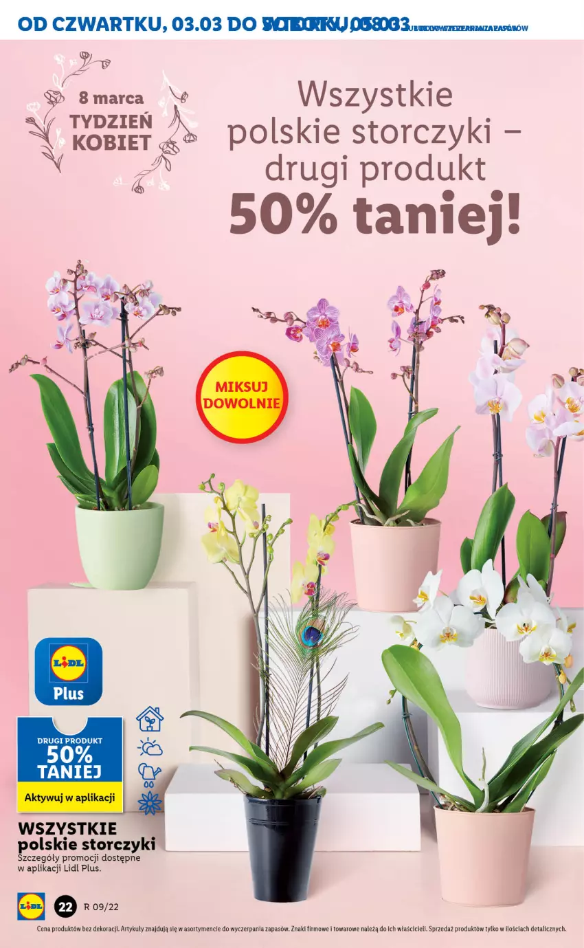 Gazetka promocyjna Lidl - GAZETKA - ważna 03.03 do 05.03.2022 - strona 22 - produkty: Storczyk