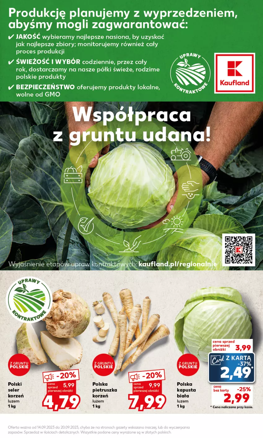 Gazetka promocyjna Kaufland - Mocny Start - ważna 18.09 do 20.09.2023 - strona 7 - produkty: Monitor, Piec, Pietruszka