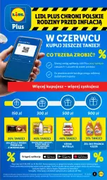 Gazetka promocyjna Lidl - GAZETKA - Gazetka - ważna od 11.06 do 11.06.2022 - strona 5 - produkty: Nutella, Ser, Mleko bez laktozy, Pasek, Serek, Vizir, Mleko