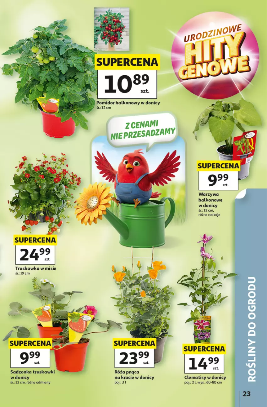 Gazetka promocyjna Auchan - Gazetka 30 Lat Hipermarket Auchan - ważna 07.05 do 13.05.2026 - strona 23 - produkty: Róża, Truskawki