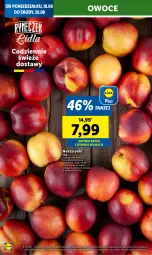 Gazetka promocyjna Lidl - GAZETKA - Gazetka - ważna od 20.08 do 20.08.2025 - strona 16 - produkty: Owoce, Nektar