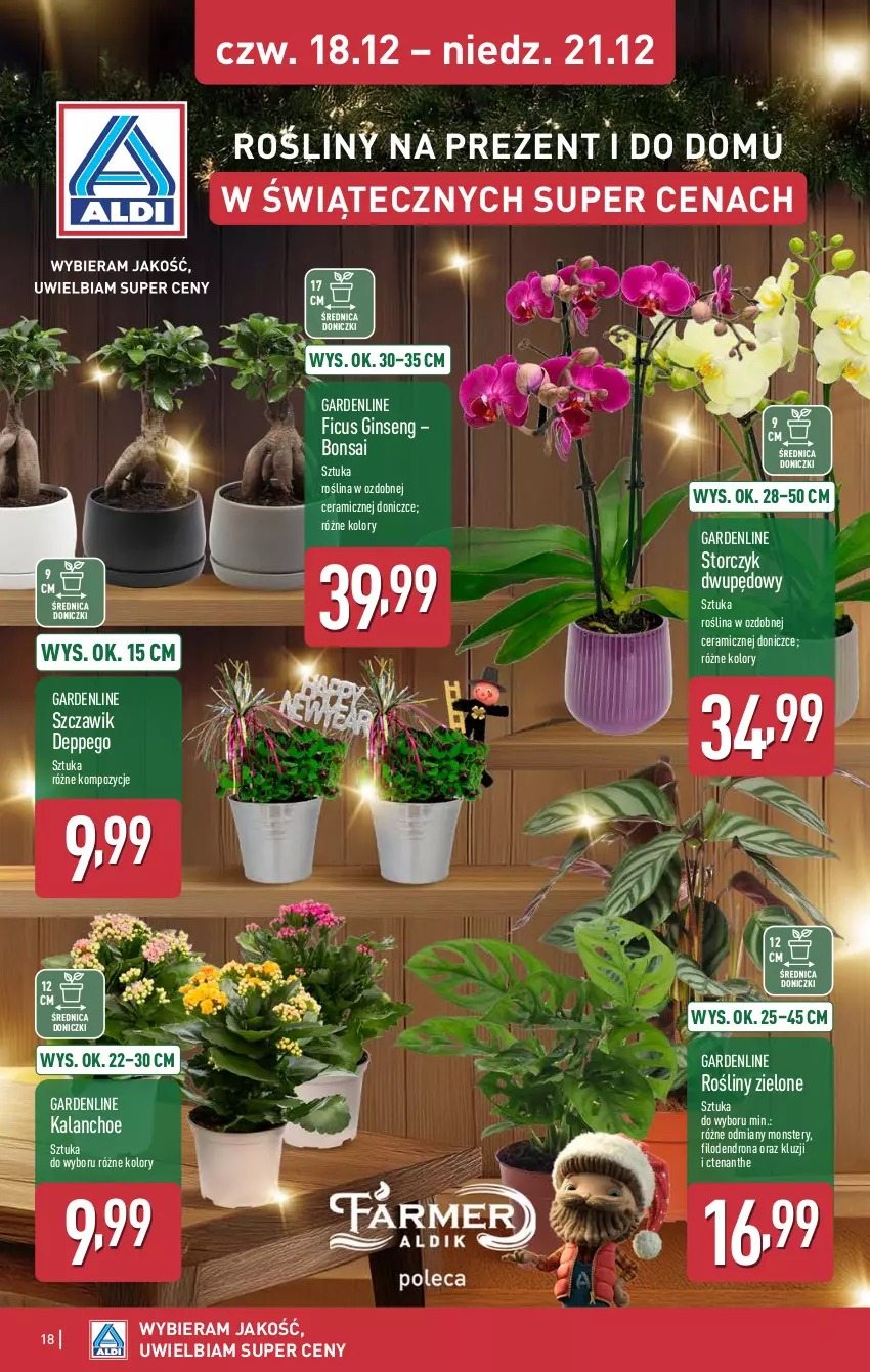 Gazetka promocyjna Aldi - Oferta weekendowa - ważna 18.12 do 21.12.2025 - strona 18 - produkty: Dron, Gin, Kalanchoe, Storczyk