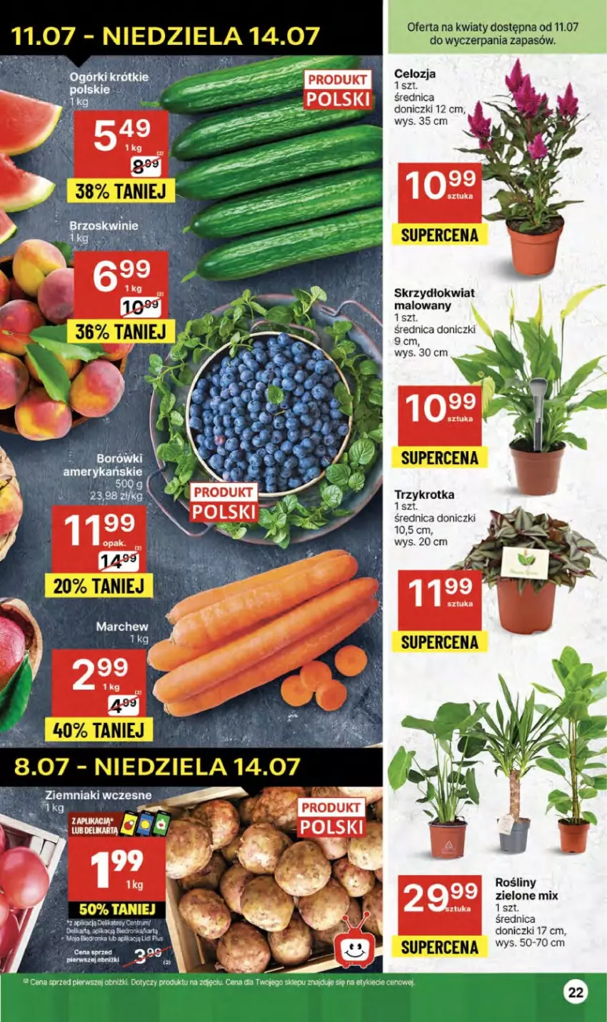 Gazetka promocyjna Delikatesy Centrum - NOWA GAZETKA Delikatesy Centrum od 11 lipca! 11-17.07.2024 - ważna 11.07 do 17.07.2024 - strona 22 - produkty: Orka, Ziemniaki