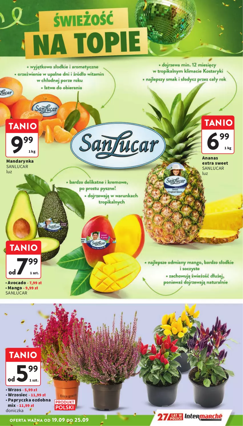 Gazetka promocyjna Intermarche - Gazetka Intermarche - ważna 19.09 do 25.09.2024 - strona 9 - produkty: Ananas, Avocado, Mango