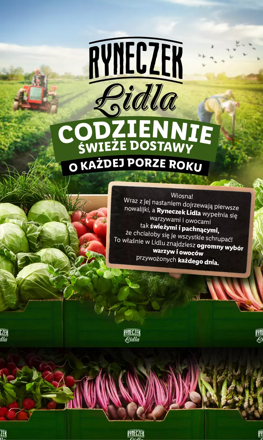 Gazetka promocyjna Lidl - GAZETKA - ważna 13.05 do 15.05.2024 - strona 4 - produkty: Por, Warzywa