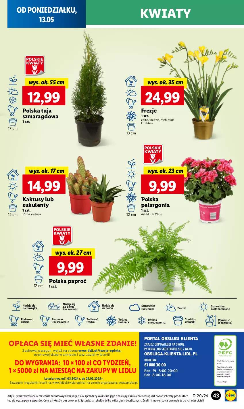 Gazetka promocyjna Lidl - GAZETKA - ważna 13.05 do 15.05.2024 - strona 52 - produkty: Astrid, Cień, Gra, Kaktus, Mola, O nas, Por, Sok, Sukulent