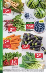 Gazetka promocyjna Stokrotka - Supermarket - Gazetka - ważna od 22.07 do 22.07.2026 - strona 10 - produkty: Warzywa, Por, Gra, Optima, Owoce, Rzodkiewka, Mięso
