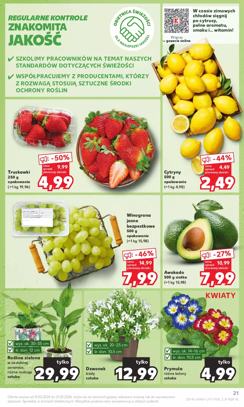 Gazetka promocyjna Kaufland - Gazetka tygodnia - ważna 15.02 do 21.02.2024 - strona 21 - produkty: Cytryny, Dzwonek, Prymula, Siatka, Truskawki, Wino, Winogrona