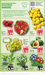 Gazetka promocyjna Kaufland - Gazetka tygodnia - Gazetka - ważna od 21.02 do 21.02.2024 - strona 21 - produkty: Prymula, Dzwonek, Truskawki, Cytryny, Siatka, Winogrona, Wino