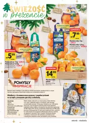 Gazetka promocyjna Intermarche - Gazetka promocyjna - Gazetka - ważna od 19.12 do 19.12.2021 - strona 10 - produkty: Piec, Mandarynki, Top, Sos, Ser, Papier, Cukier, Bezy, Mikser, Mascarpone, Czekolada, Syrop, Deser, Aksam, Piekarnik, Olej, Ocet