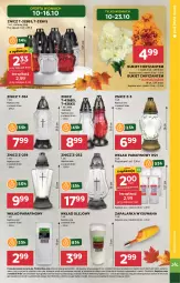 Gazetka promocyjna Stokrotka - Supermarket - Gazetka - ważna od 16.10 do 16.10.2024 - strona 25 - produkty: Warzywa, Zapalarka, Bukiet, Znicz, Owoce, Olej, Mięso, Wkład olejowy