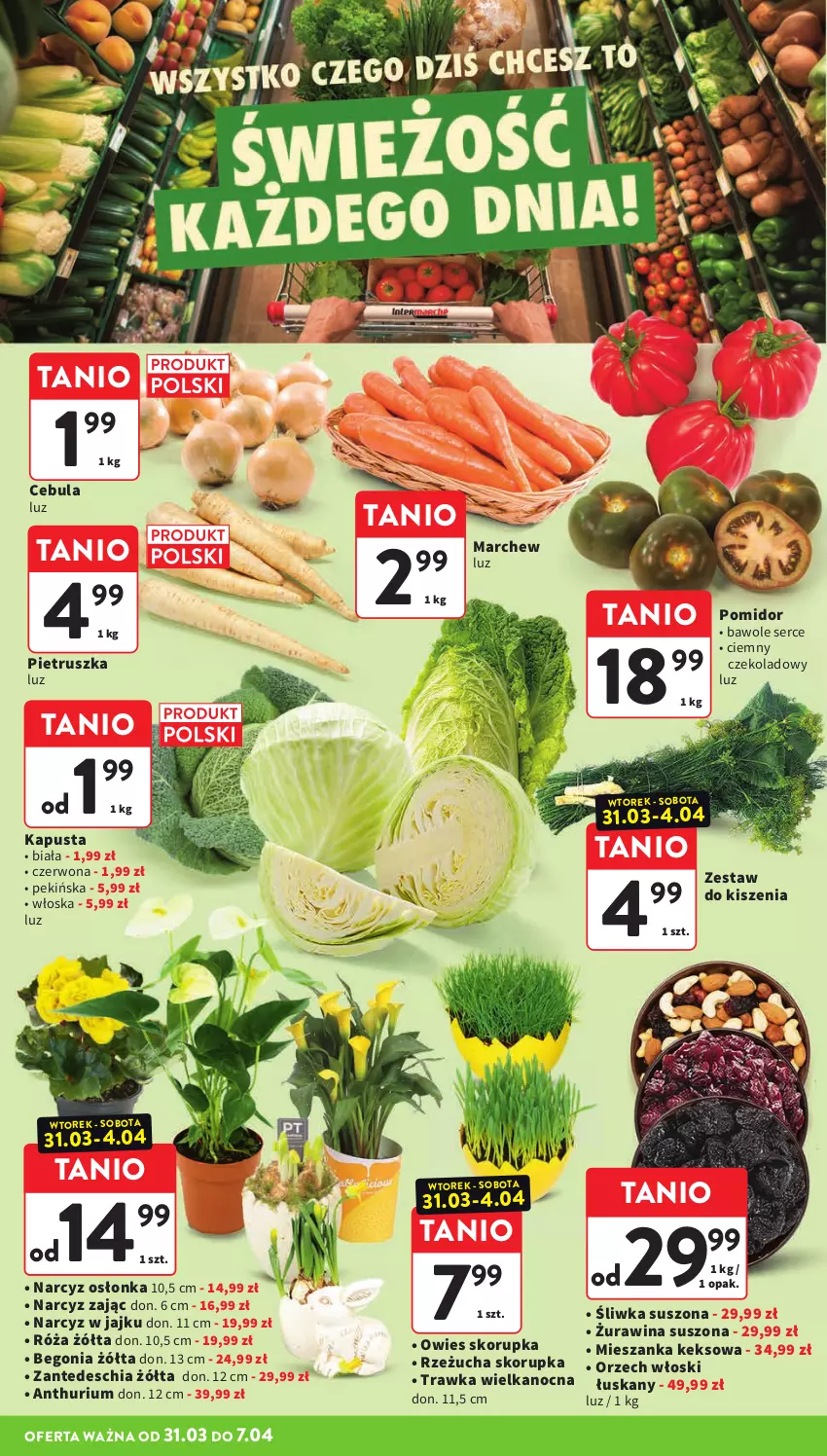 Gazetka promocyjna Intermarche - Gazetka Intermarche - ważna 31.03 do 07.04.2026 - strona 24 - produkty: Cebula, Chia, Narcyz, Osłonka, Pietruszka, Róża, Rzeżucha, Ser